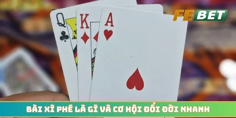 Bài xì phé là gì và cơ hội đổi đời nhanh cho bet thủ